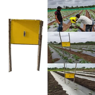 4 Pcs of Made in India Battery Operated Eco Pest Sticky Trap